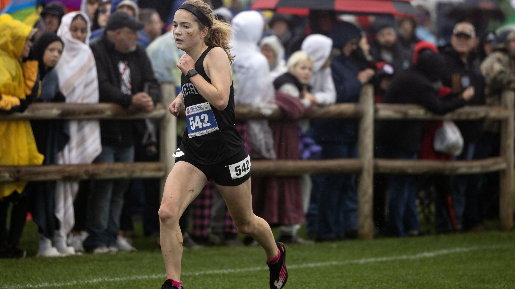 Metro finishes third in Class 2 girls team race: Cross country state meet roundup